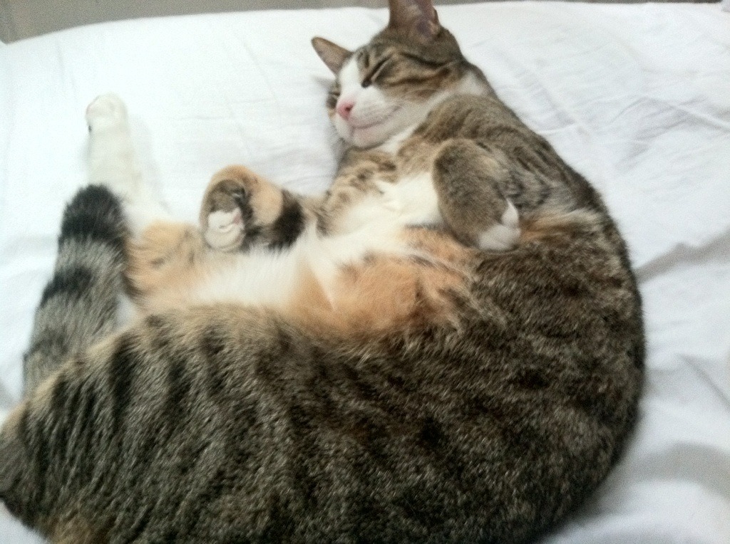 洛杉矶风云突变，快船强势碾压湖人，神秘字母哥化身关键先生