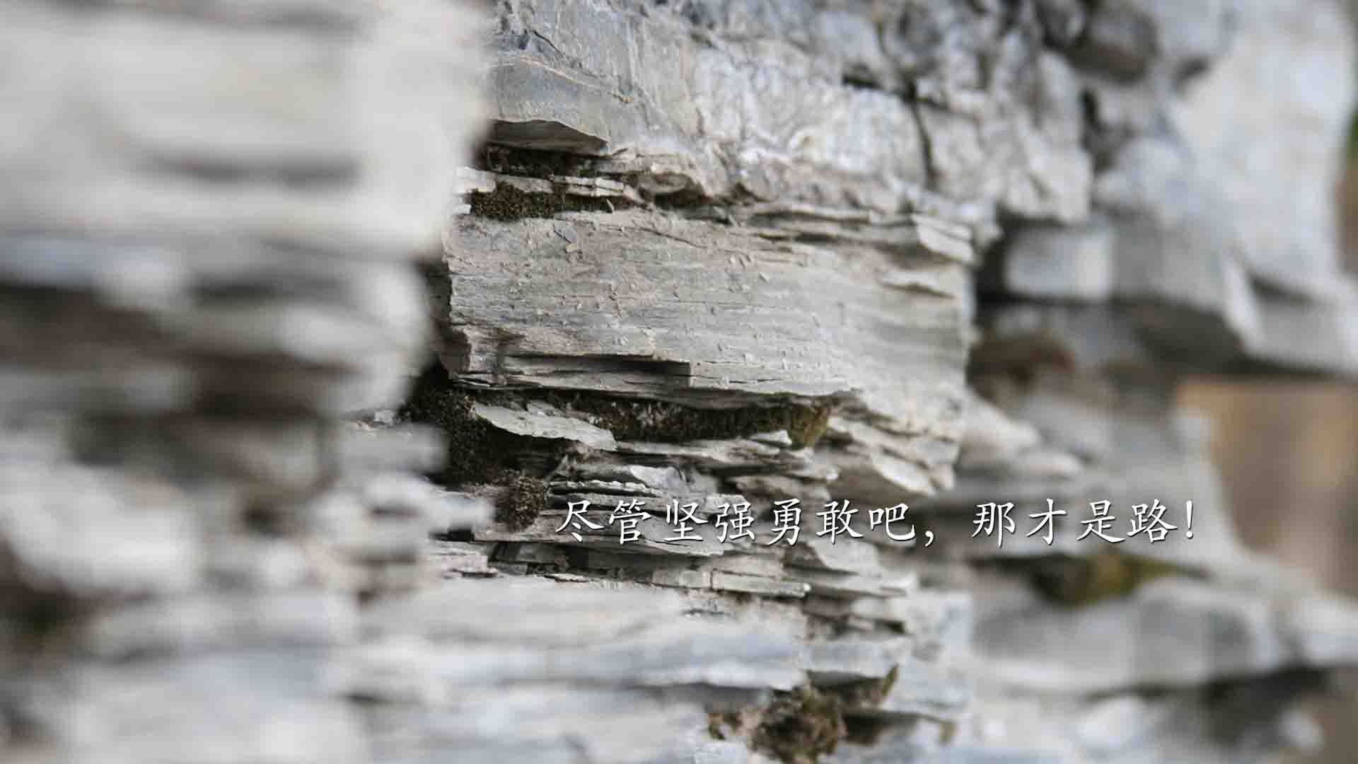 雷火电竞亚洲先驱-速度圣殿的双生火焰